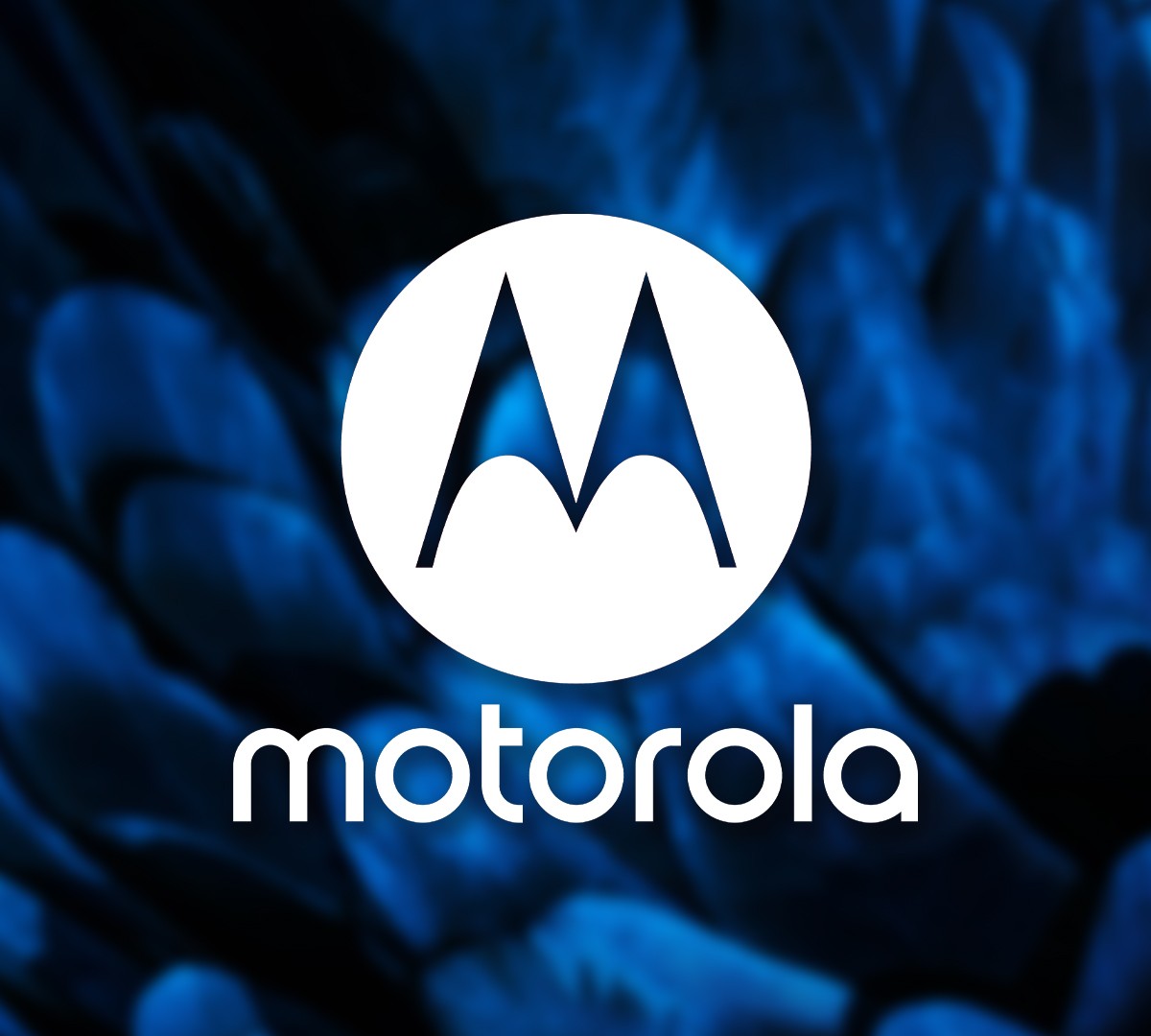 Motorola: novidades no ar